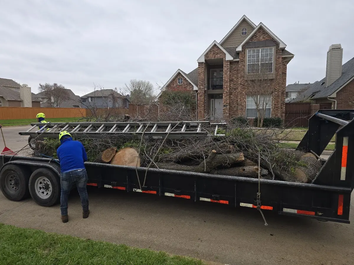 Expert Tree Removal with proper safety equipment in Tire Hill